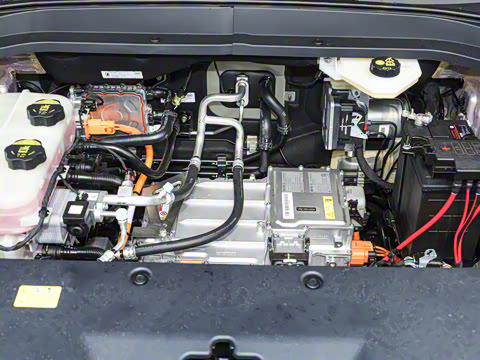 2025�� 445km ���ð�