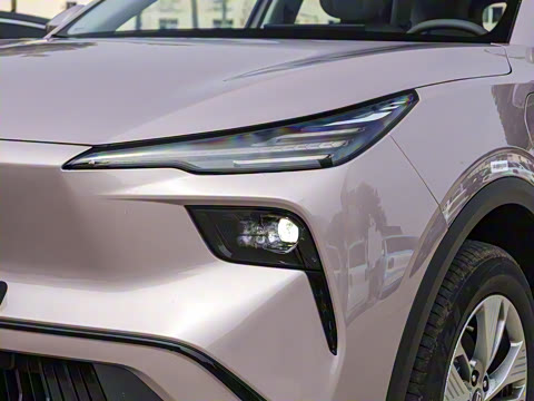 2025�� 445km ���ð�