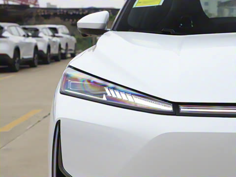 2025�� 205��������������