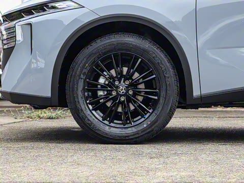 2021�� 260T ������