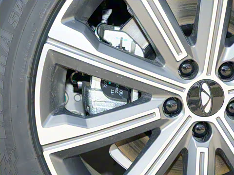 2025�� 120 ������������� 5�� �������