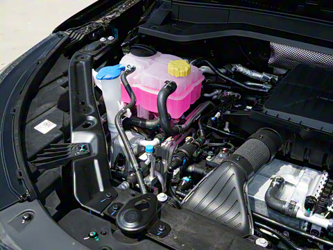 2025�� 120 ������������� 5�� �������