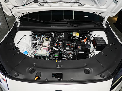 2026�� ������