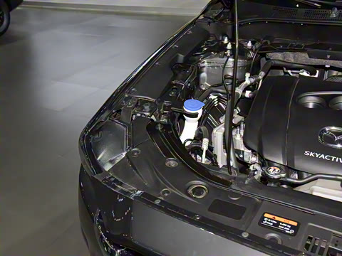 2025�� 2.0L �Զ�����������