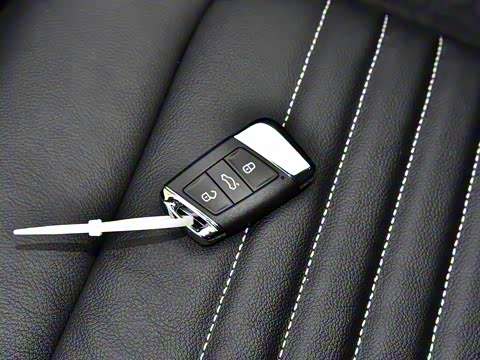 2020�� 330TSI DSG ������