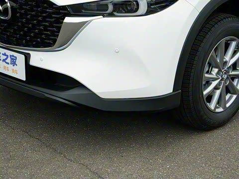 2025�� 2.0L �Զ�����������