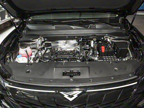 2025�� 1.5T ��ԭ�� 7��