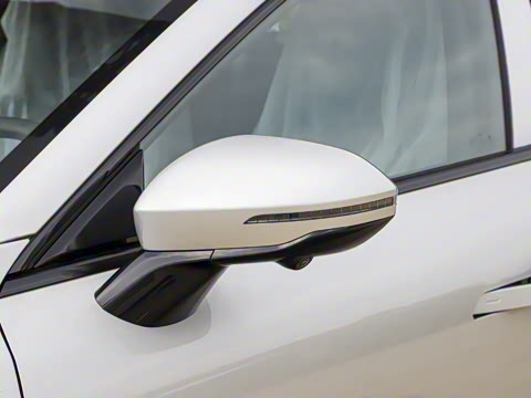 2025�� ���� 230ProѲ����