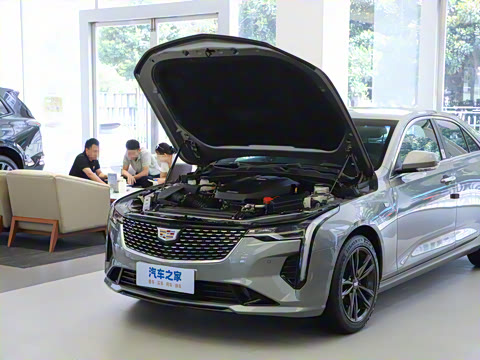 2023�� 25T ������