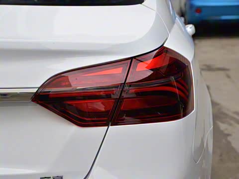 2019�� ����� 1.5L �ֶ��������˰� ��V