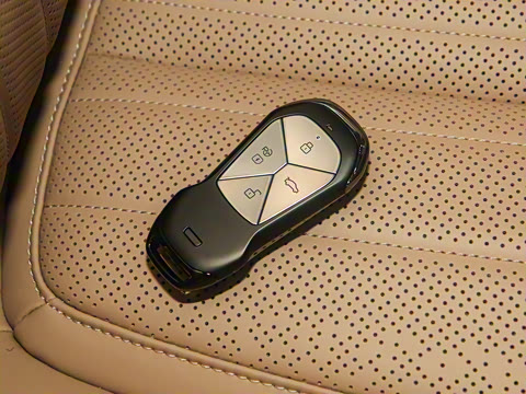 2025�� 725 �������� Max