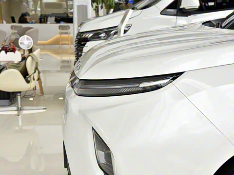 2024�� �Ŀ� ���� ��������ɭ�ְ� ����