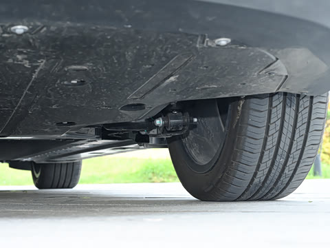 2025�� 600 �������� Max