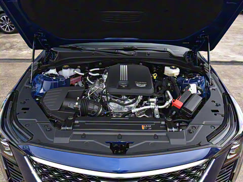 2025�� 28T �����˶���