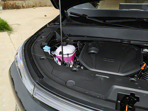 2025�� 55km ������