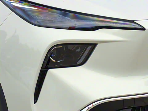 2025�� 565km ������