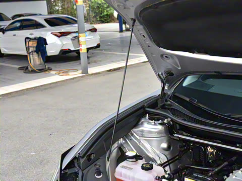 2025�� 630 MAX���а�