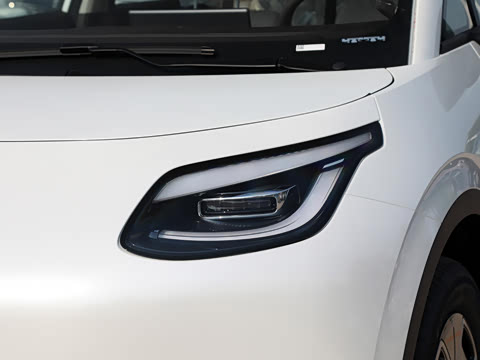 2025�� 330��ҫ��