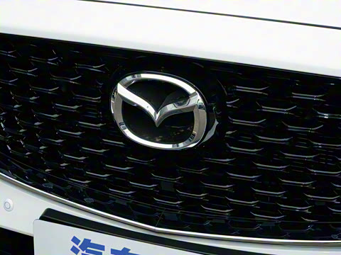 2025�� 2.0L �Զ�����������