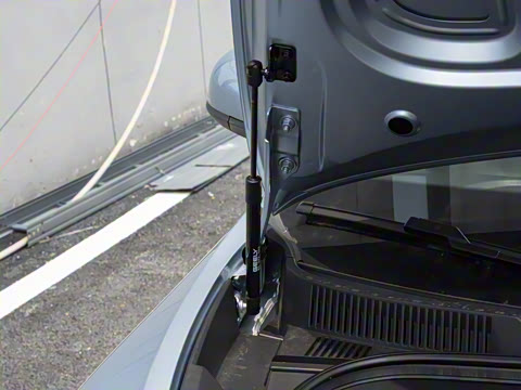 2025�� 310km �ഺ��