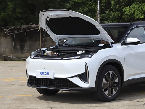 2025�� 205��������������