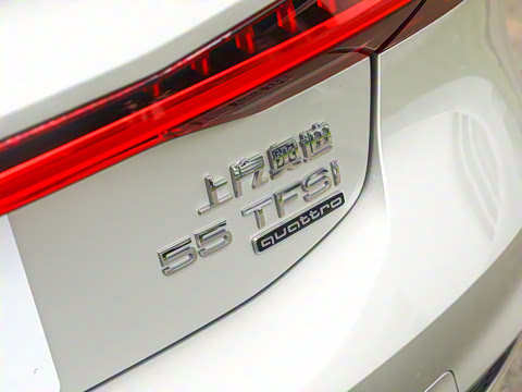 2022�� 55 TFSI quattro S-line ��Զ��������װ