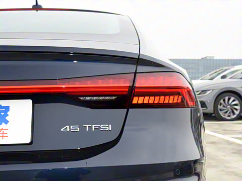 2023�� 45 TFSI ��ѡ��