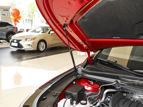 2025�� 300 ����������