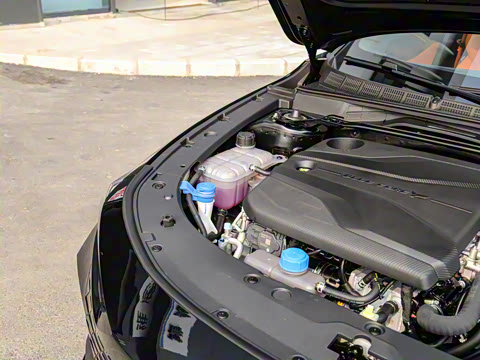 2023�� 1.5T �˶���