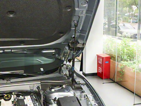 2025�� 1.5T 300 DCT������