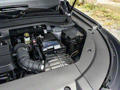 2025�� 2.0T ��������� 7��