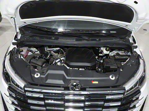 2025�� �Ŀ� MAX 2.0T �Զ������� ���� 7��