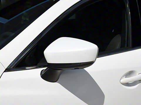 2020�� 2.5L ��������