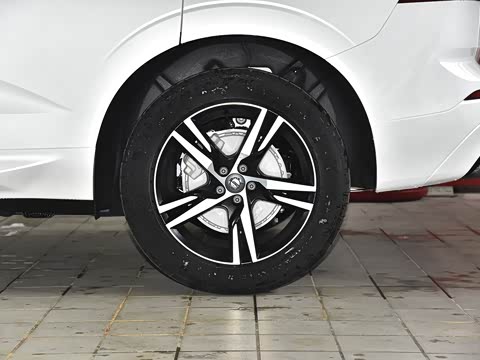 2021�� T5 ������Զ�˶���