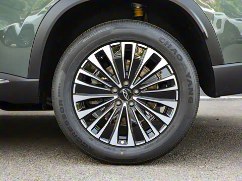 2025�� 1.5T 116km ������ 7��