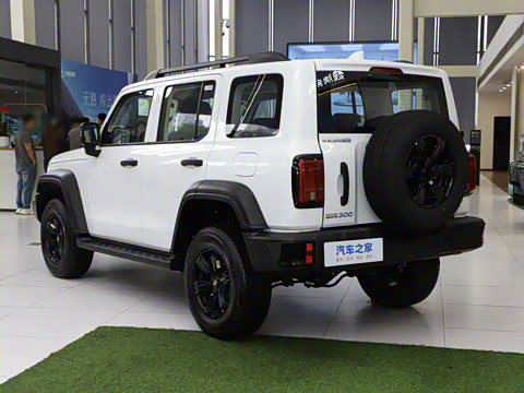 2025�� 2.0T ��ս��