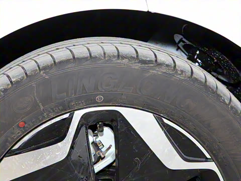 2021�� �촴��