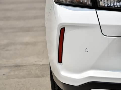 2019�� ������������