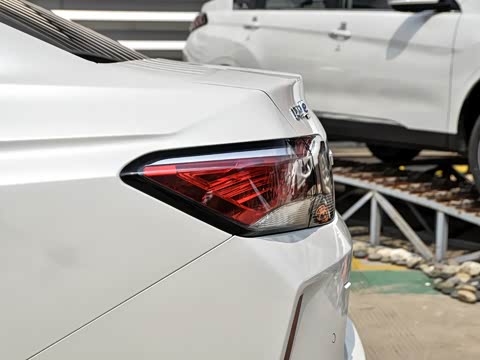 2019�� ������������