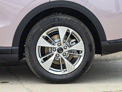 2025�� 445km ���ð�