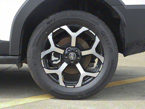 2025�� 226km ��Խ