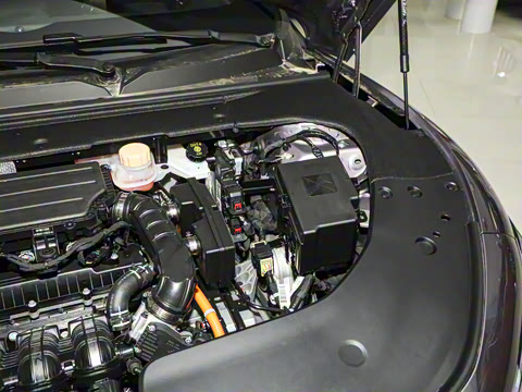 2025�� 235���� ������