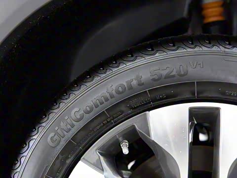 2019�� Ԧ����