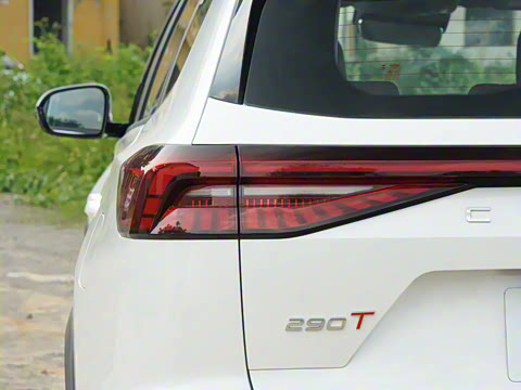 2024�� �ھ��� 290T ������ҫ�� 5��