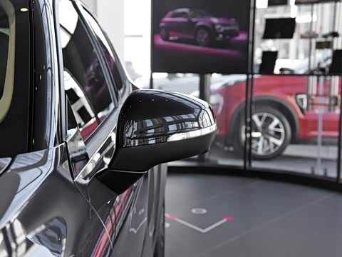 2019�� ���ܰ� 2.0T �Զ�����ҫPro�� ��VI