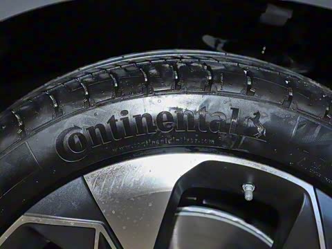 2020�� 80 �����Ƽ���