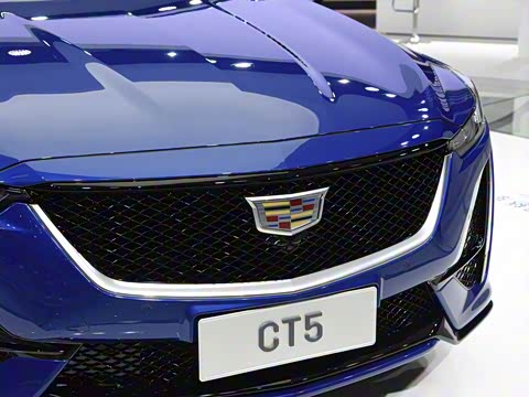 2020�� 28T �����˶���