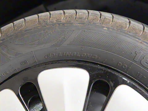 2025�� 333km ������