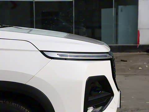 2020�� 1.5T CVT������� 5��