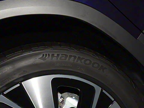 2023�� ������������